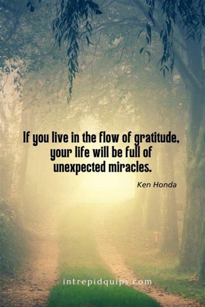 Quotes To Uplift Your Spirit