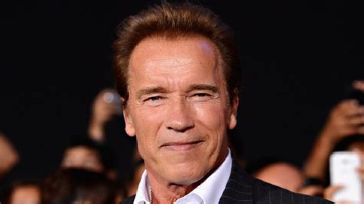 What Arnold Schwarzenegger's Love Child Is Doing Today